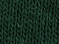 DryBlend® Fleece Stadium Blanket Forest Green