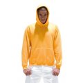 Heren Hooded sweaters Russell 575M